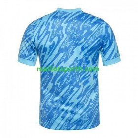 Maillot de Foot Portugal Gardien Troisieme UEFA Euro 2024